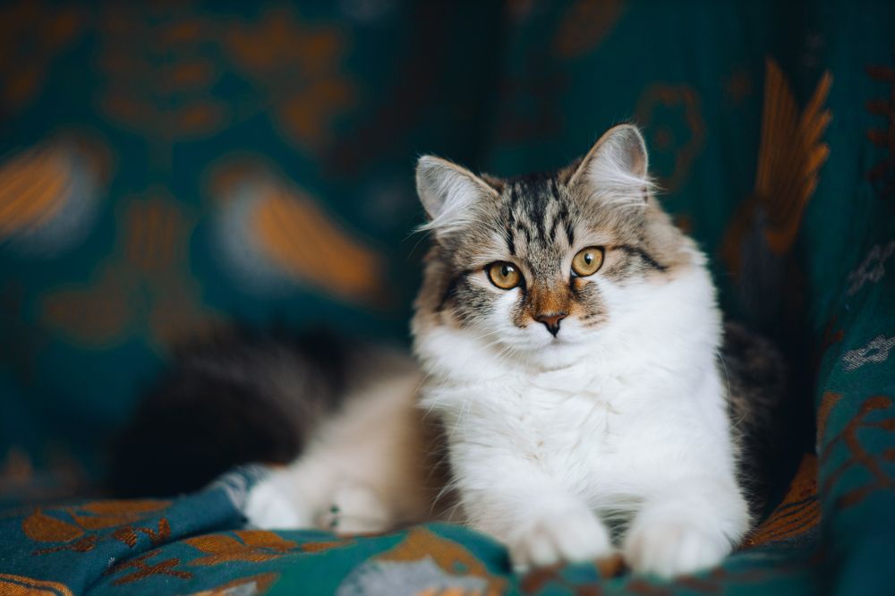 Photograph by Elena Kilina