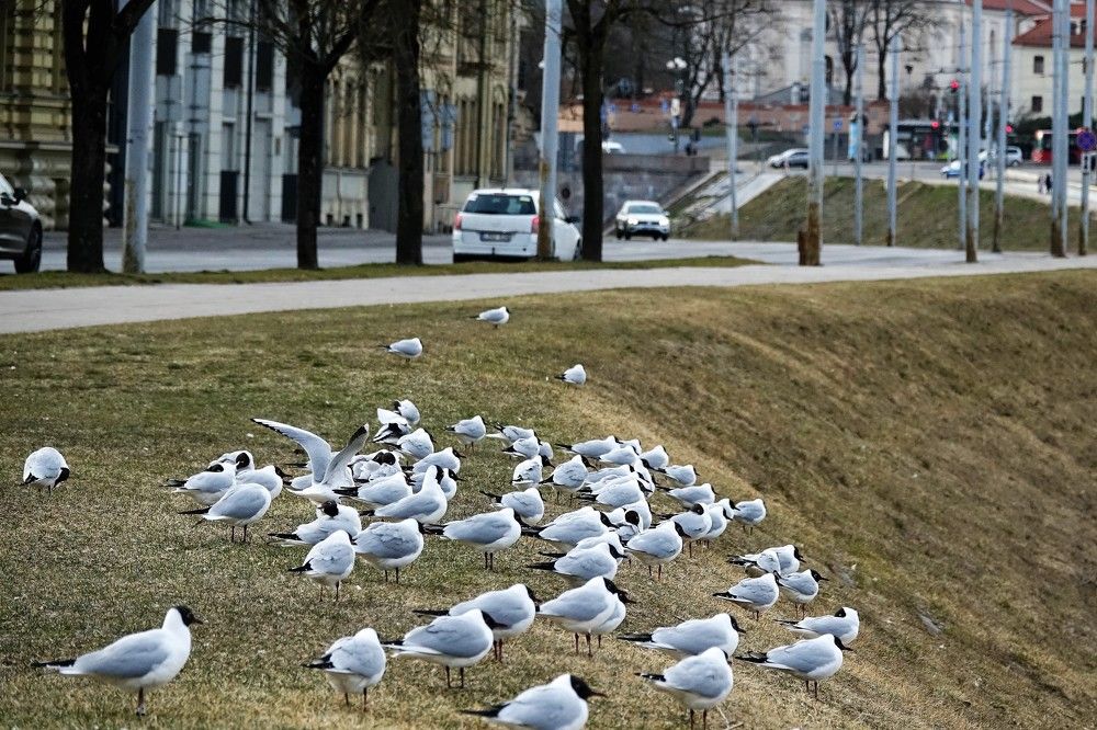 Photograph by jelena konickaja