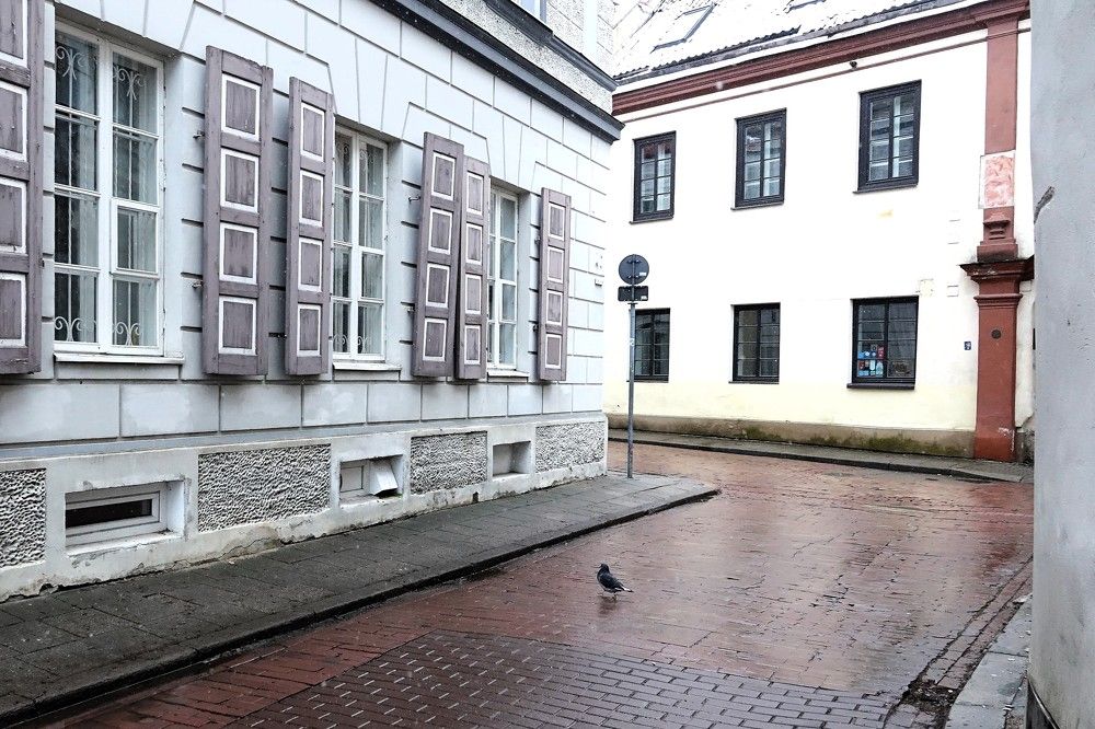 Photograph by jelena konickaja