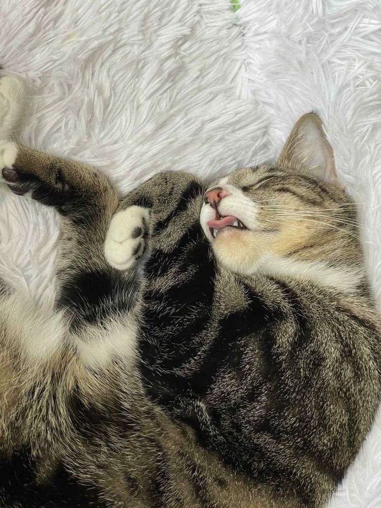 Photograph by Ирина Рудь