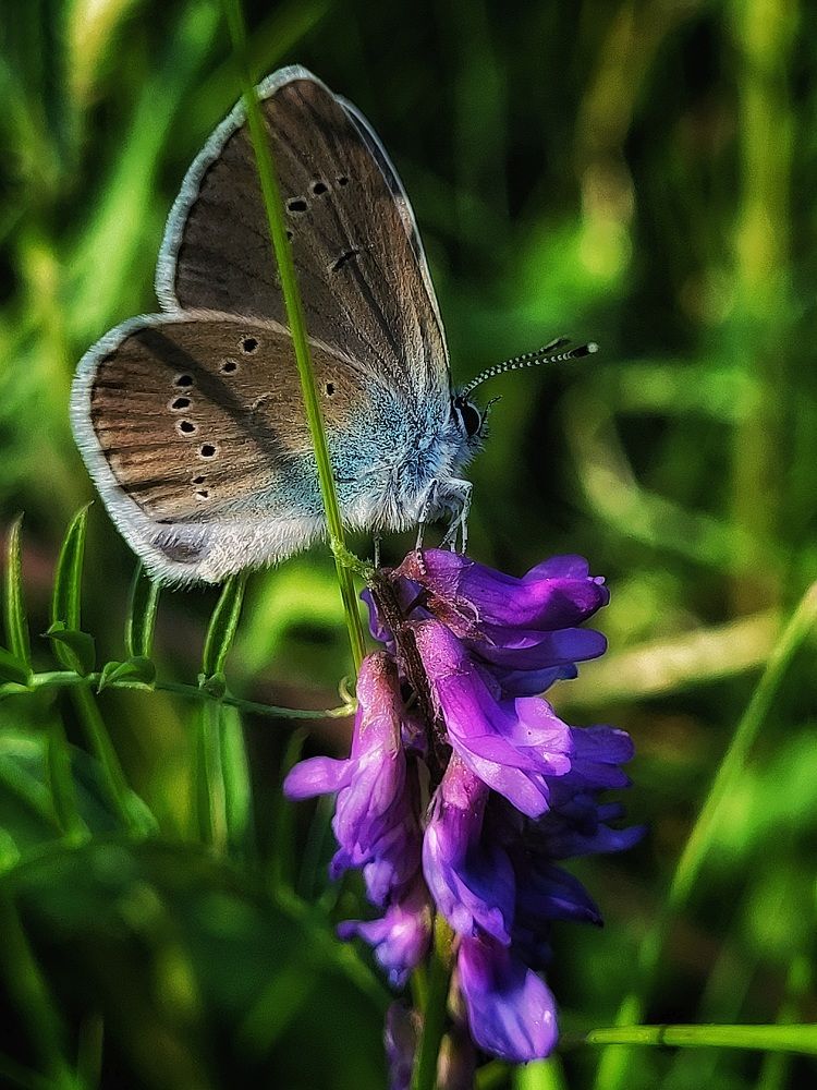 Photograph by Елена Иванова