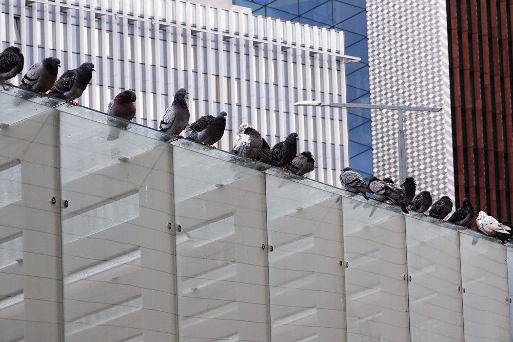 Photograph by jelena konickaja