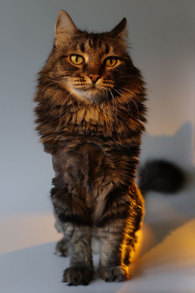 Photograph by Толмачёва Ирина