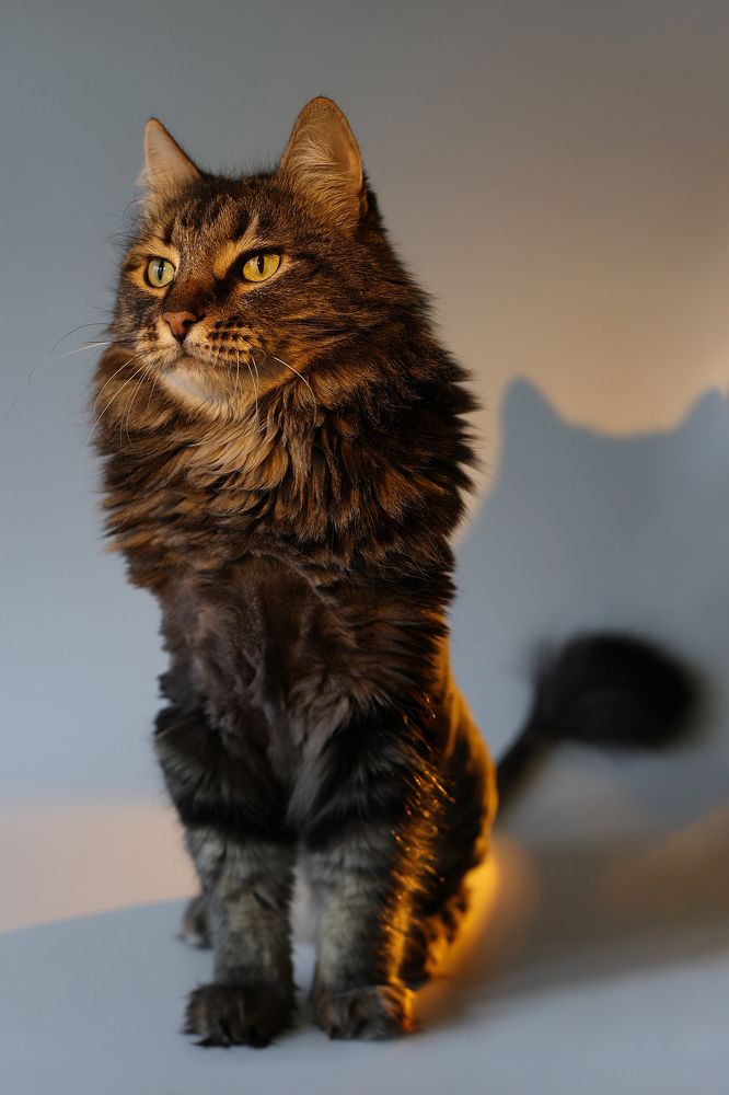 Photograph by Толмачёва Ирина