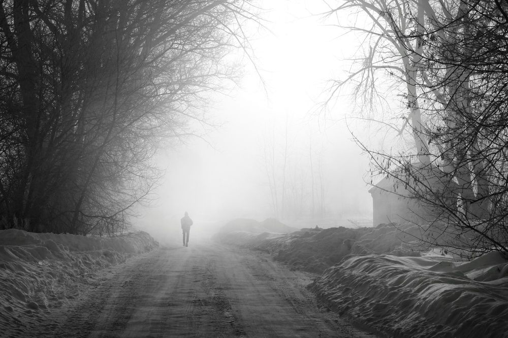 Photo #10814033