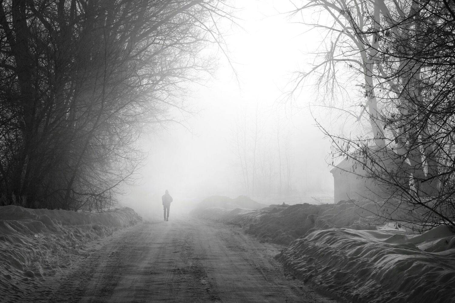 Photo #10814033