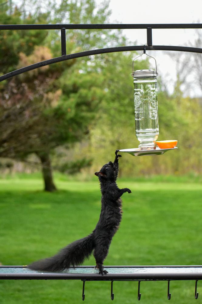 Photograph by Carla Rodrigues