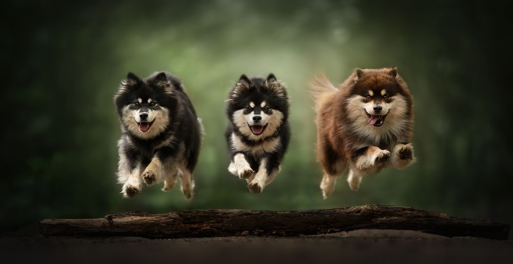 Photograph by Fleur Scholte