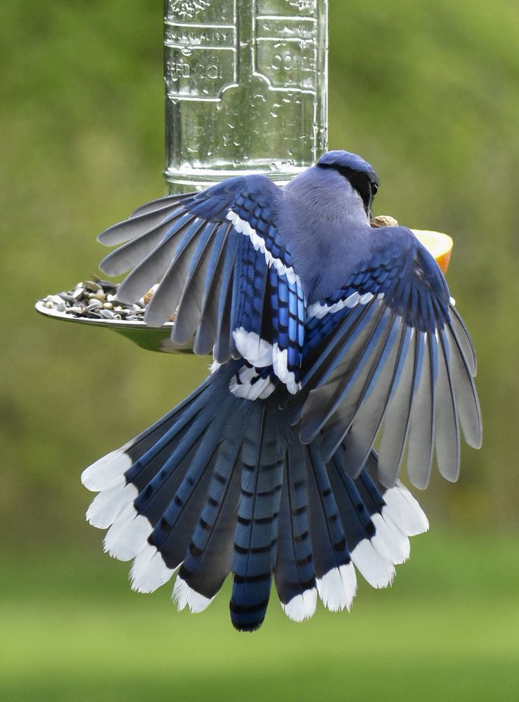 Photograph by Carla Rodrigues