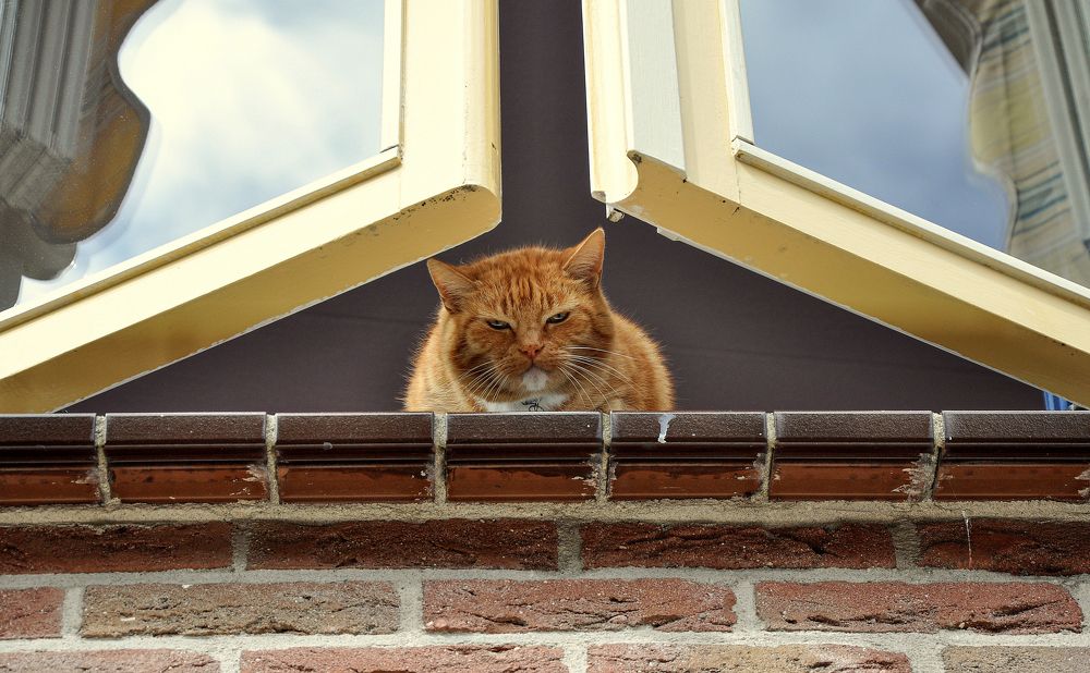 Фотография автора Ковяк Сергей Васильевич