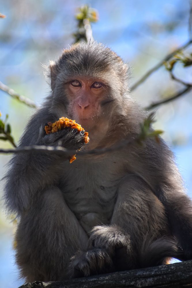 Photograph by Subrata Das