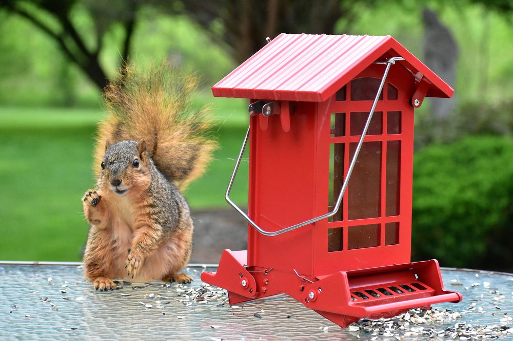 Photograph by Carla Rodrigues