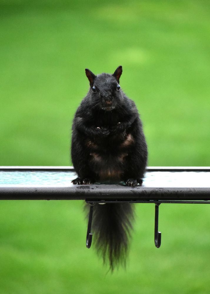 Photograph by Carla Rodrigues