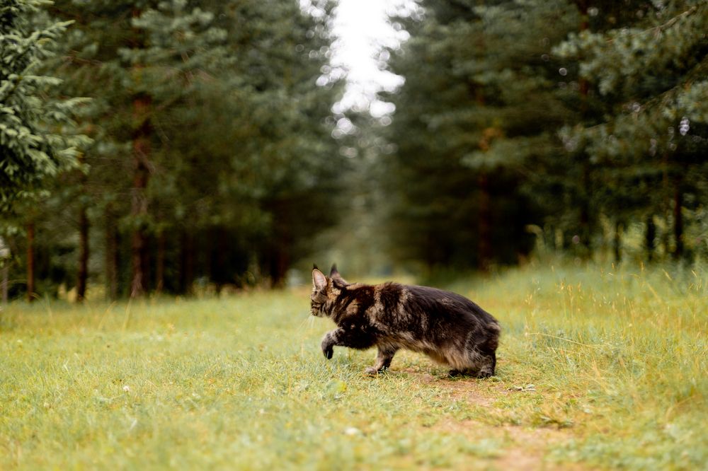 Photograph by Анастасия Веретенникова