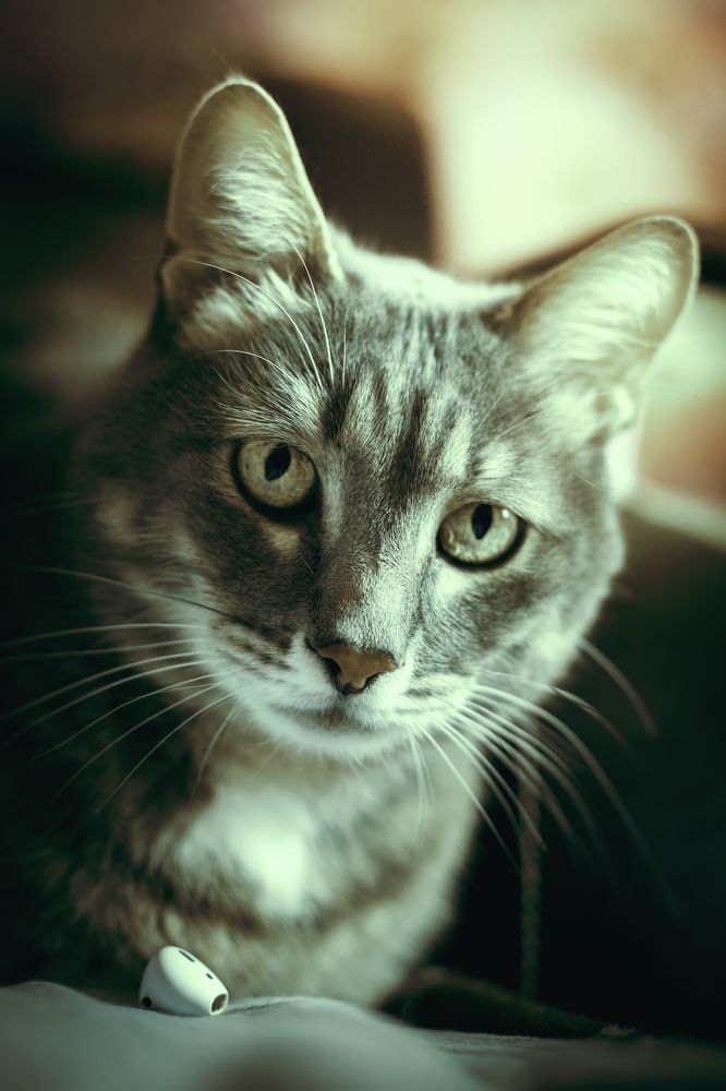 Photograph by Сергей Кочетов