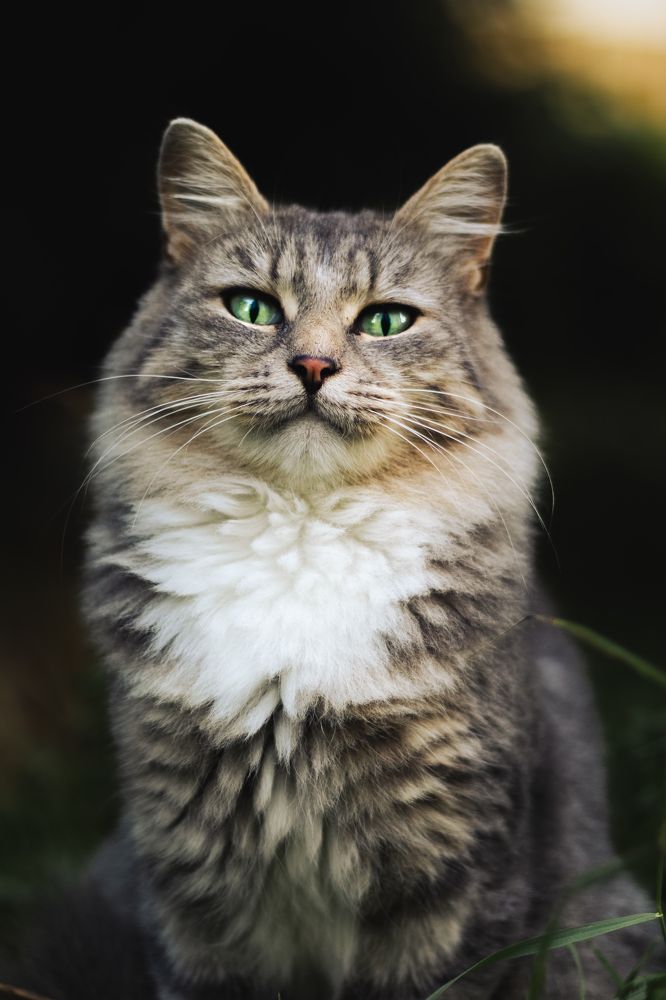 Photograph by Victoria Popkova