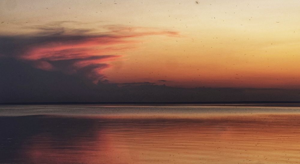 Photograph by Арсений Цветков