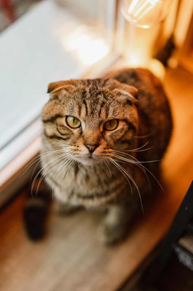 Photograph by Елена Осокина