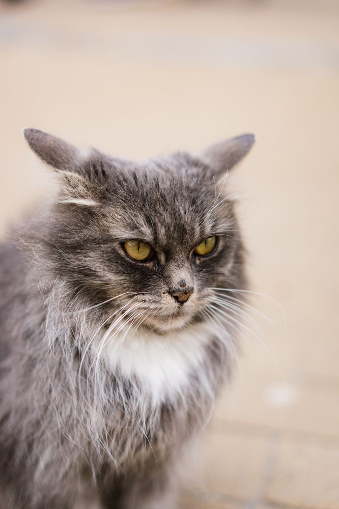 Photograph by Елена Осокина