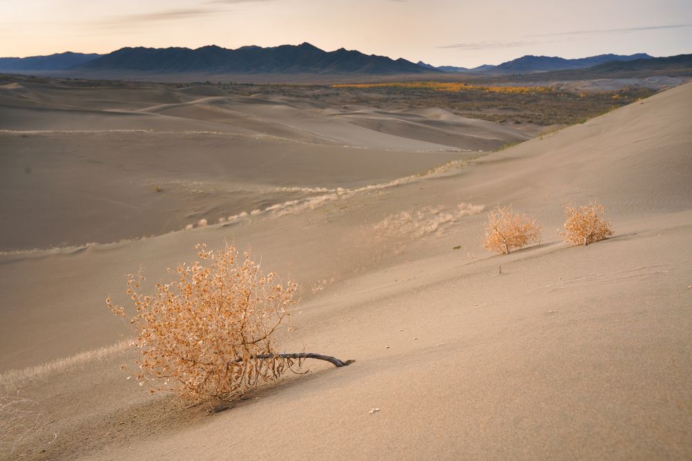 Photograph by Нерозя Александр