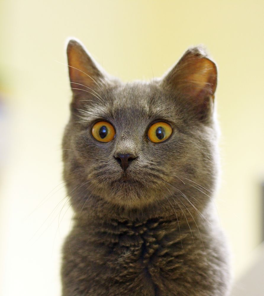 Photograph by PERESHEIN ANDREY