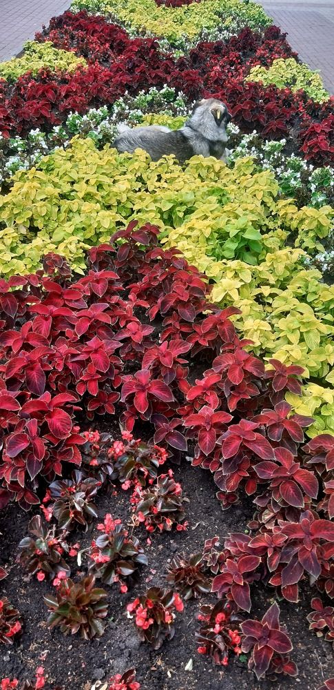 Photograph by Svetlana Nemontova