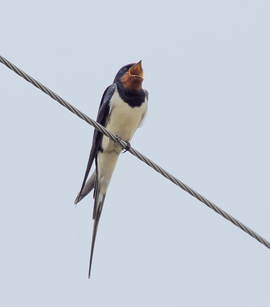 Photograph by Анатолий Максимов