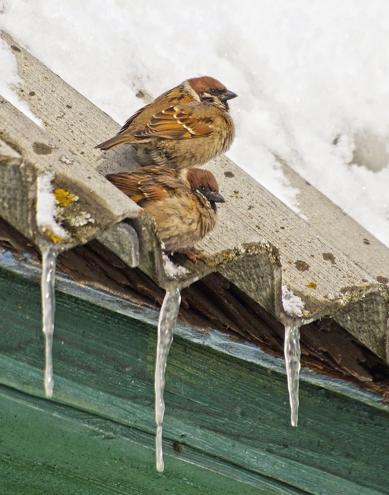 Photograph by Анатолий Максимов