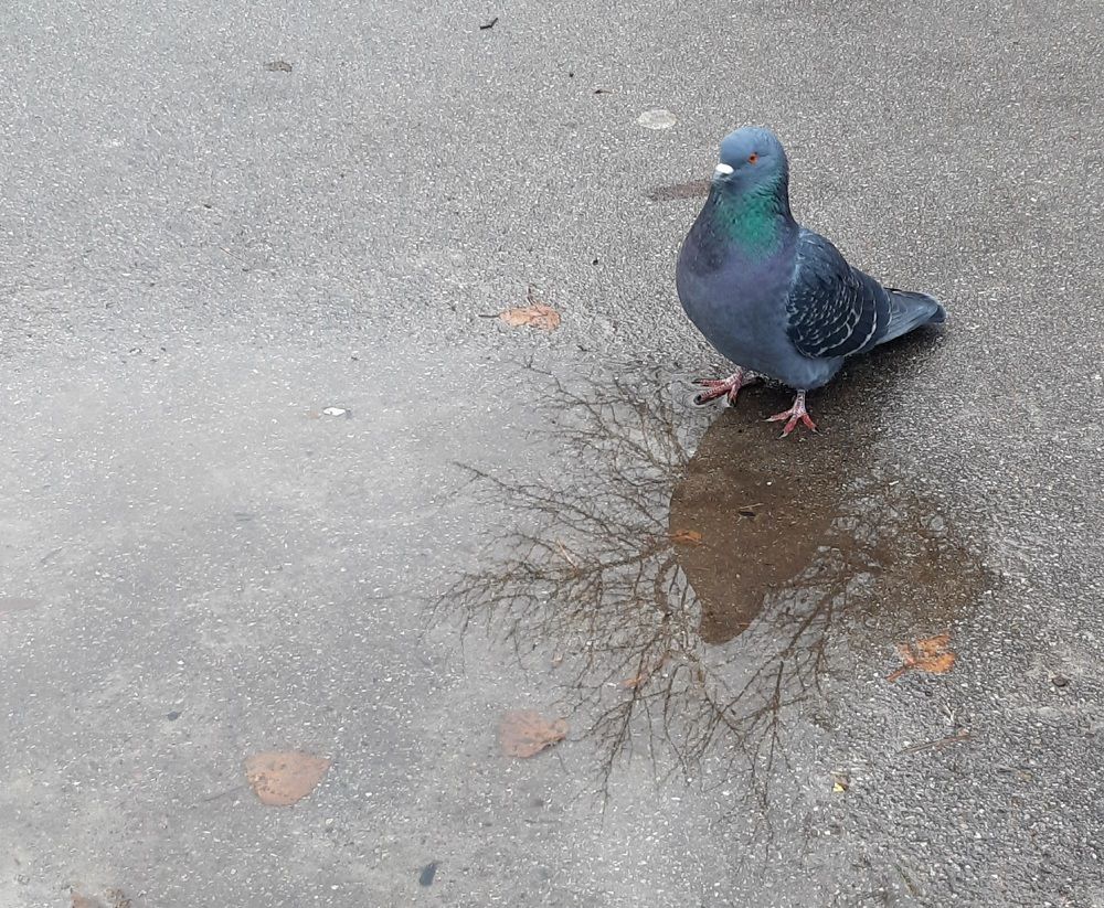 Photograph by Svetlana Nemontova