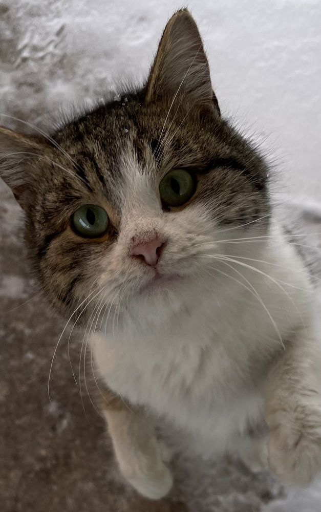 Photograph by Elena Budycheva