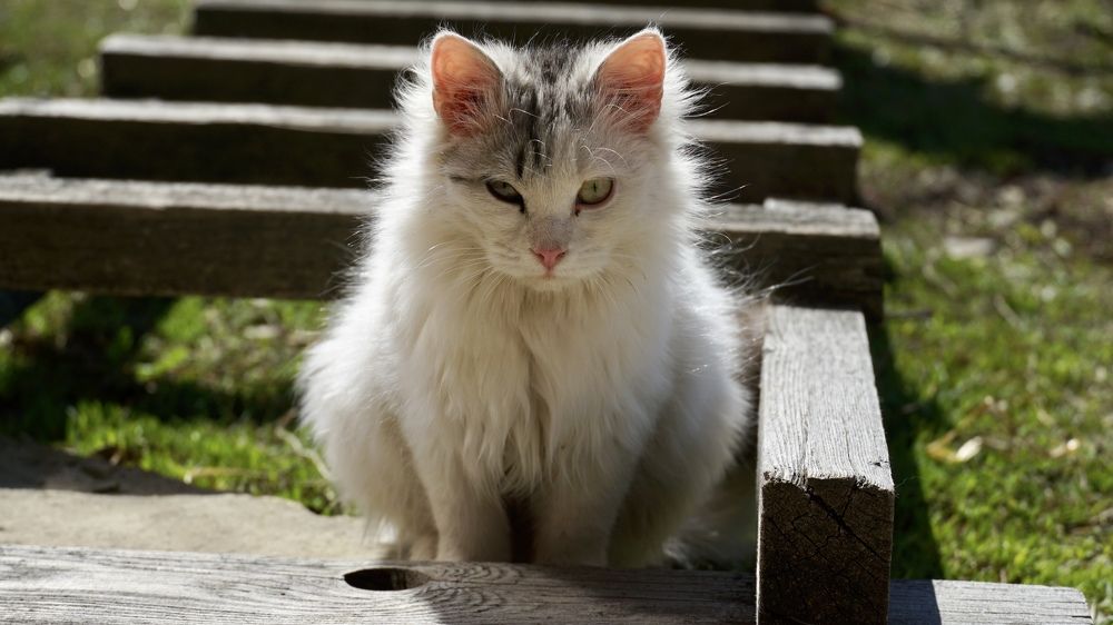 Photograph by Elena Budycheva