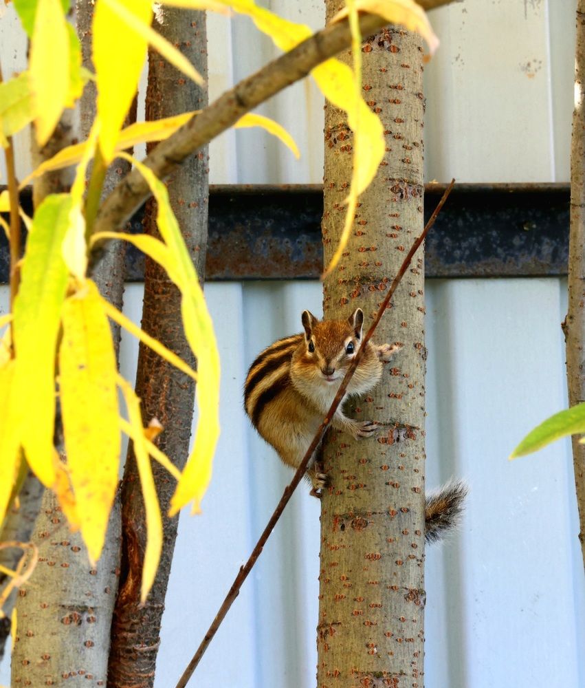 Photograph by Сергей Хитра