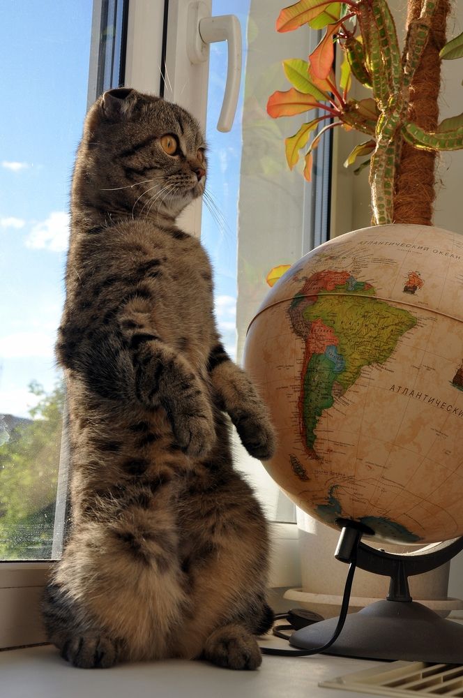 Фотография автора Ковяк Сергей Васильевич