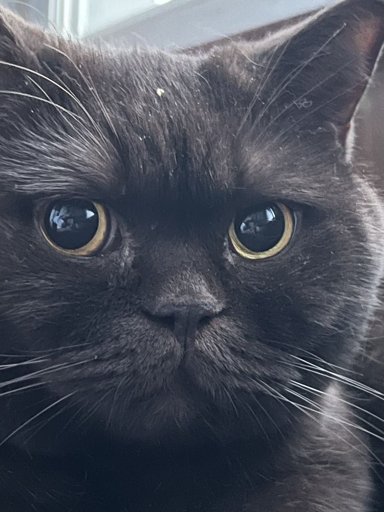 Photograph by Александра Акси