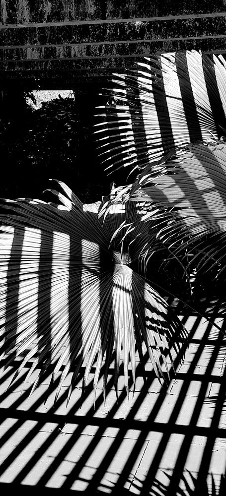 Photograph by Gr Marie