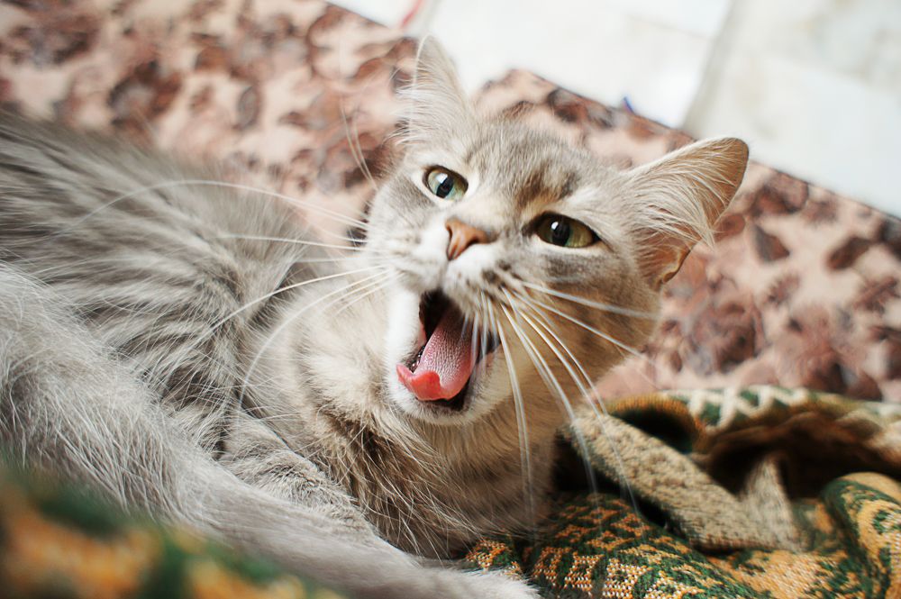 Photograph by Виктория Лаур