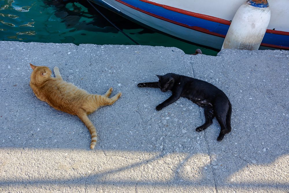 Photograph by Александр Поцелуев