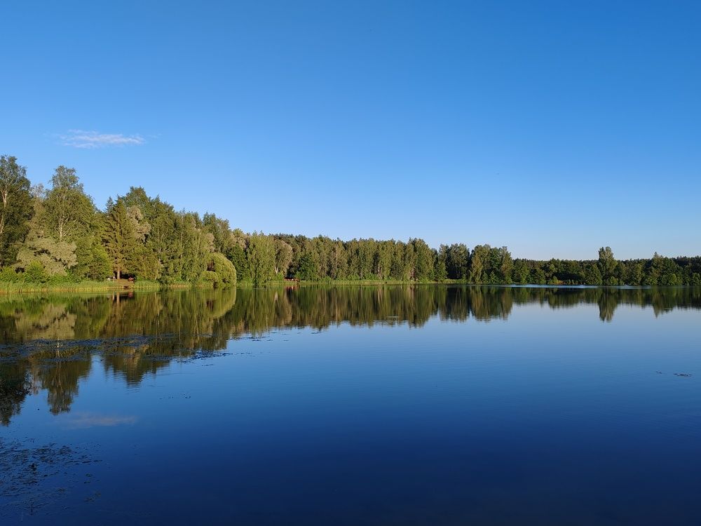 Photograph by Белова Ксения