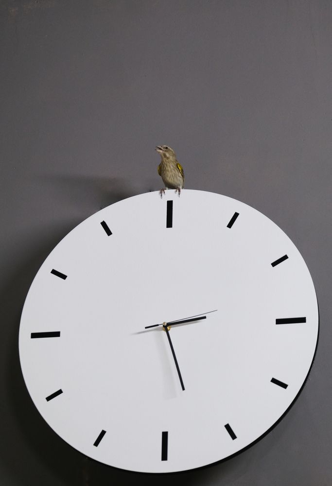 Фотография автора Александр Высоцкий