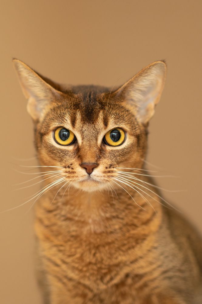 Photograph by Оксана Шаяхметова