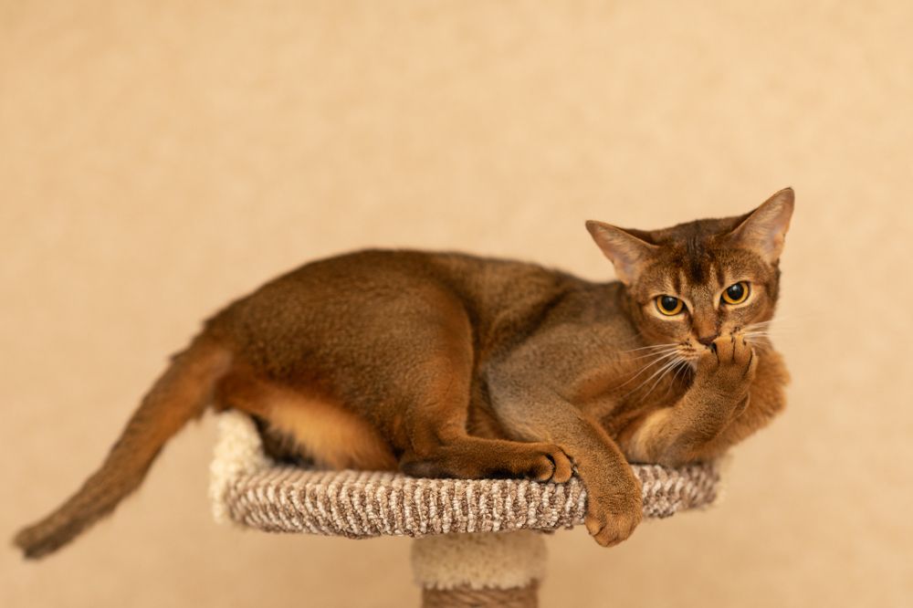 Photograph by Оксана Шаяхметова