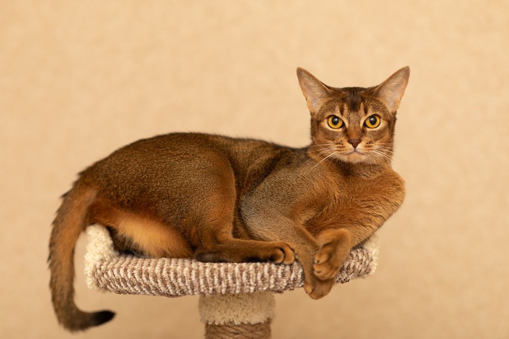 Photograph by Оксана Шаяхметова