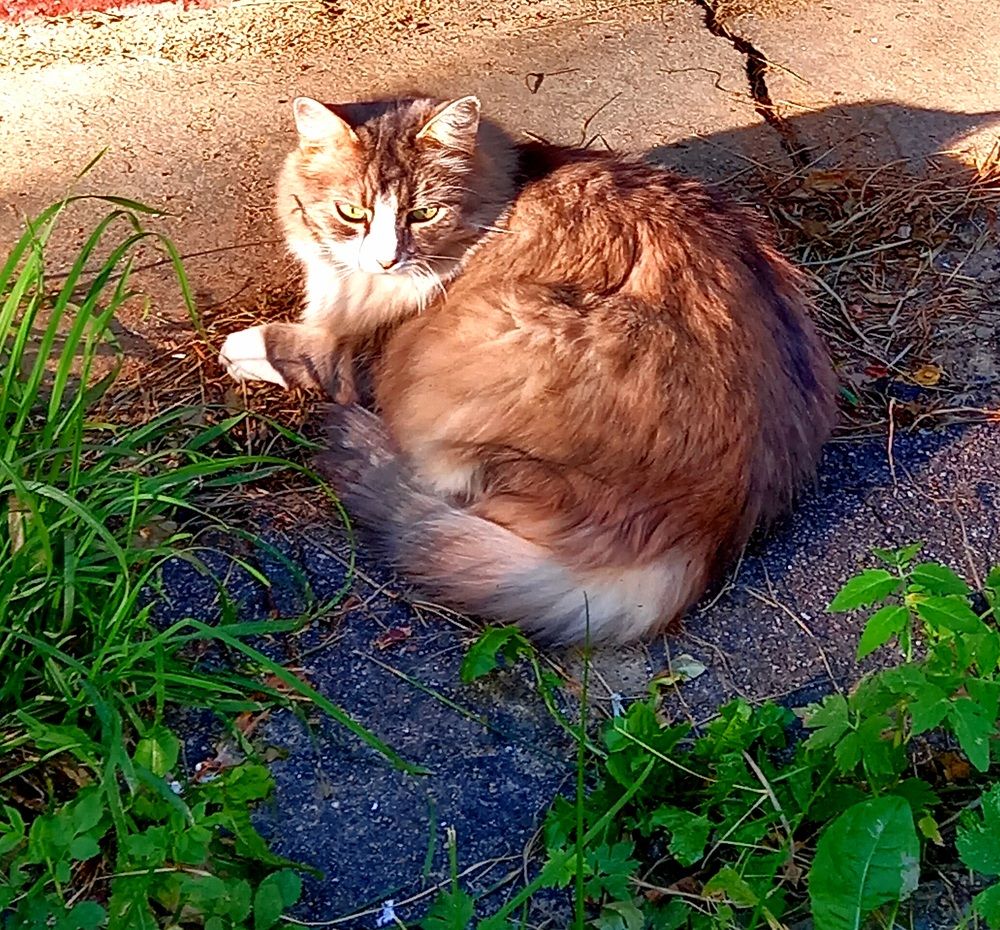 Photograph by Ольга Юрченко