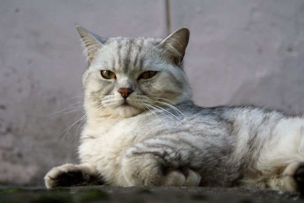 Photograph by Yroslava Veretina