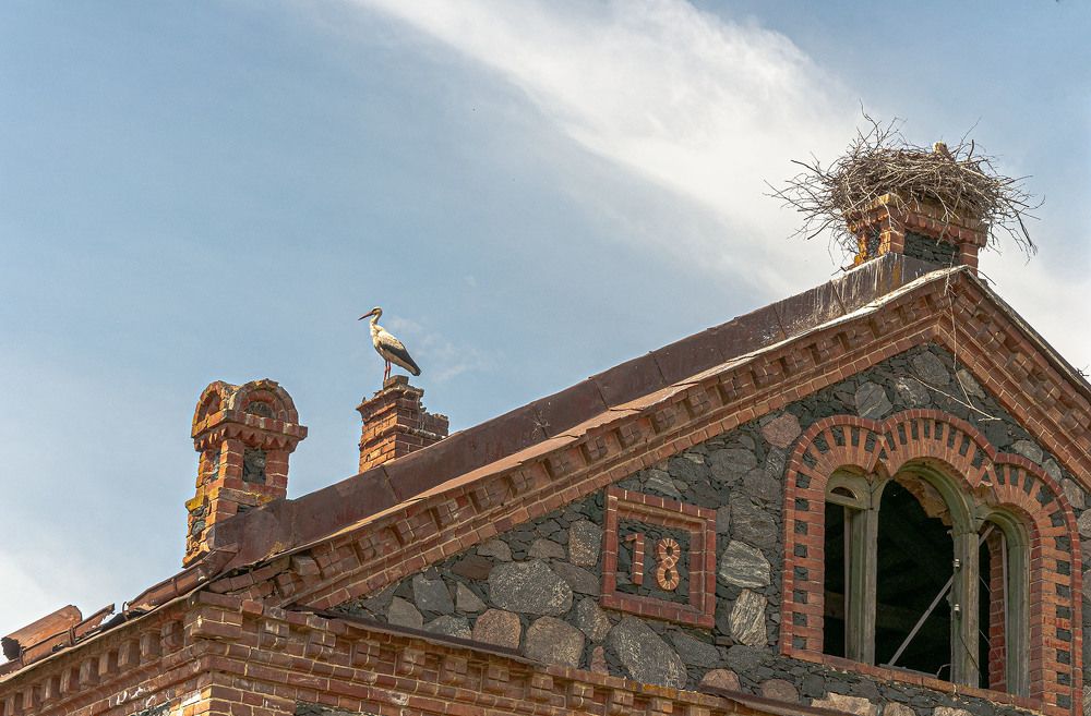 Photograph by Vladimir  Komarov