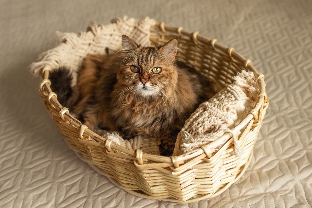 Photograph by Наталья Шевченко