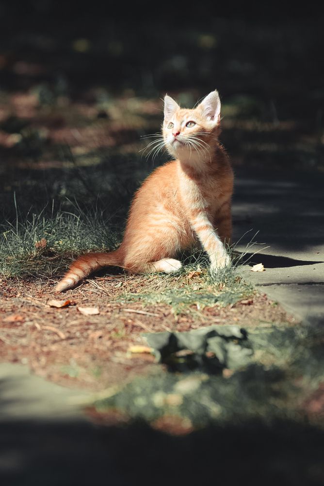 Photograph by Эльмира Самойлова