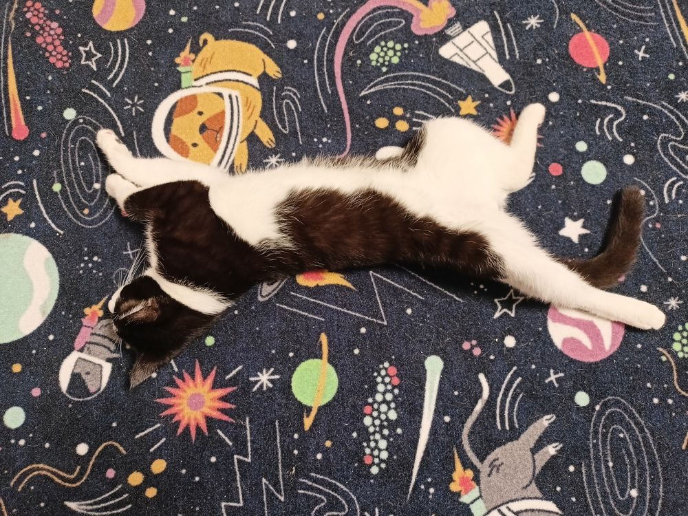 Photograph by Александра Пугачева