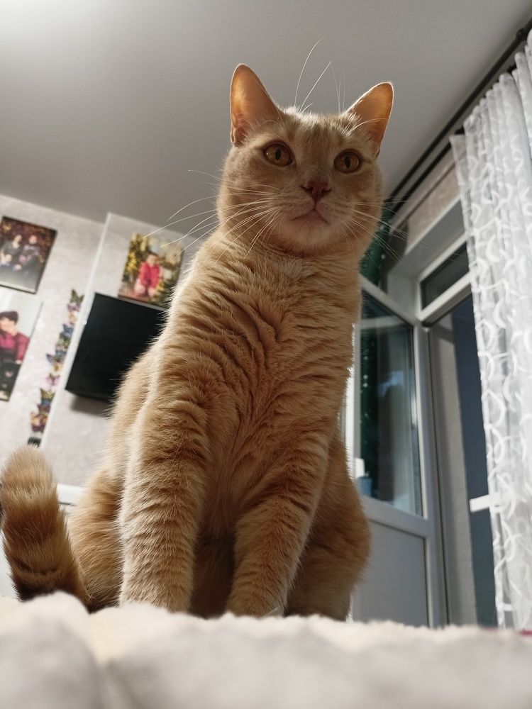 Photograph by Александра Пугачева