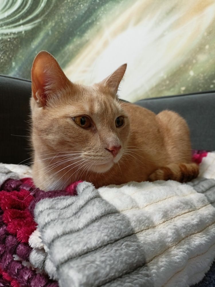 Photograph by Александра Пугачева